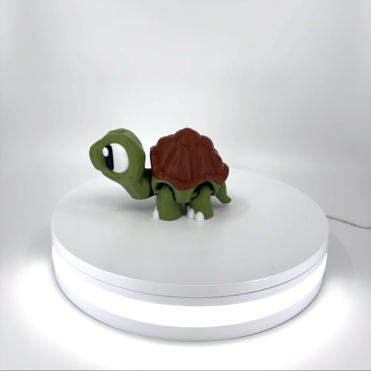 Ted the Tortoise Filament Foundry