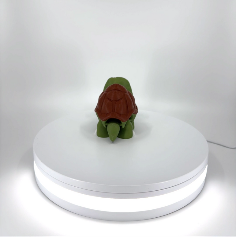 Ted the Tortoise Filament Foundry