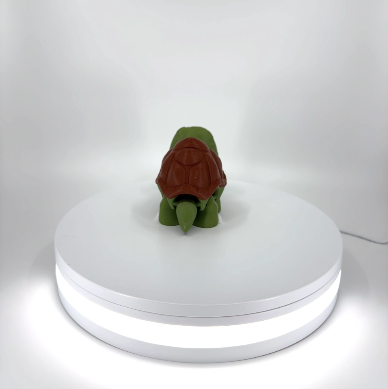 Ted the Tortoise Filament Foundry