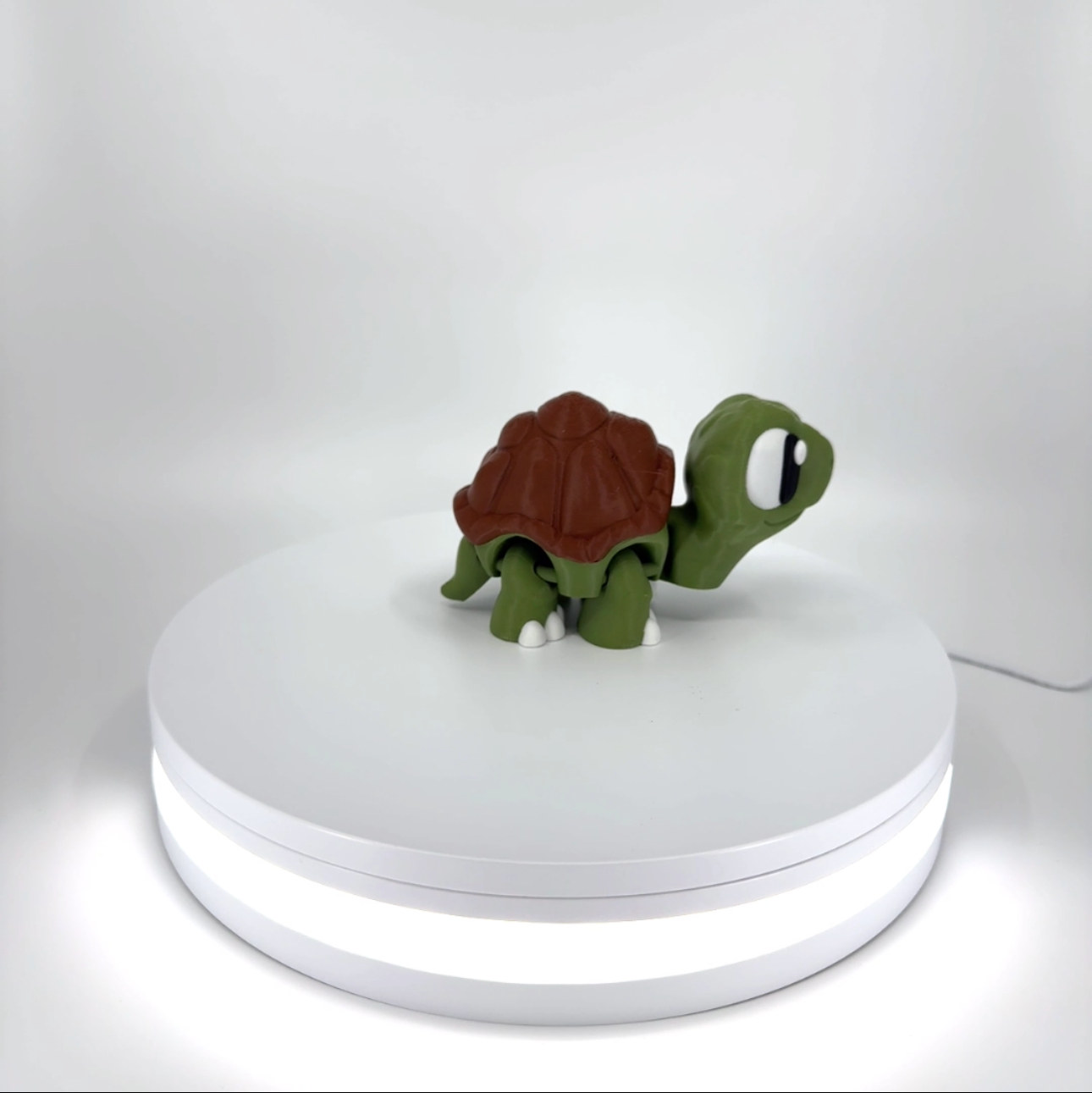 Ted the Tortoise Filament Foundry