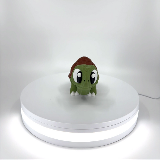 Ted the Tortoise Filament Foundry