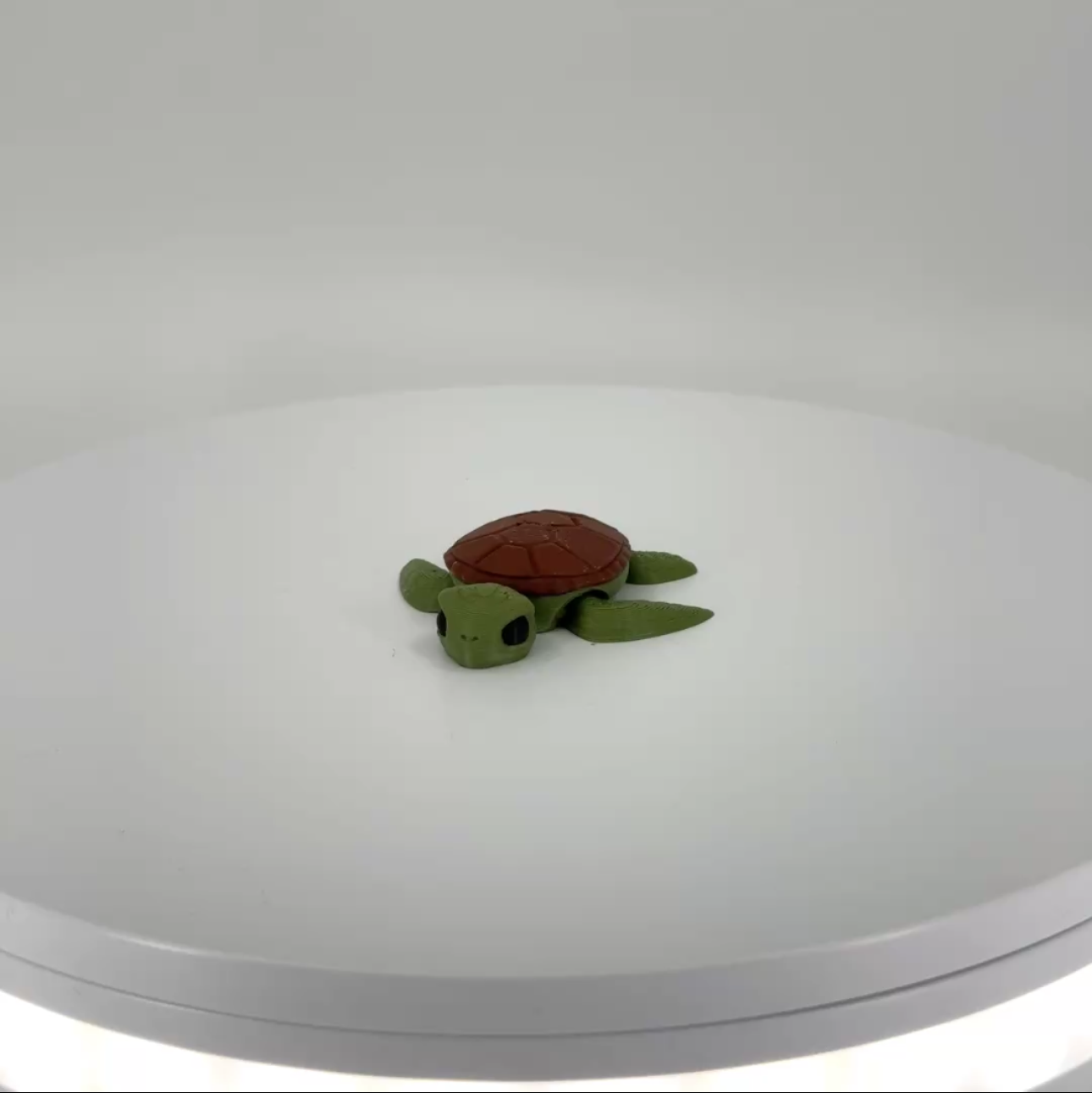Sammy the Sea Turtle mini Filament Foundry
