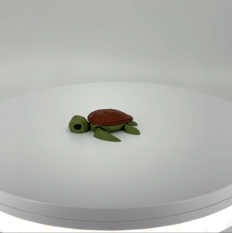 Sammy the Sea Turtle mini Filament Foundry