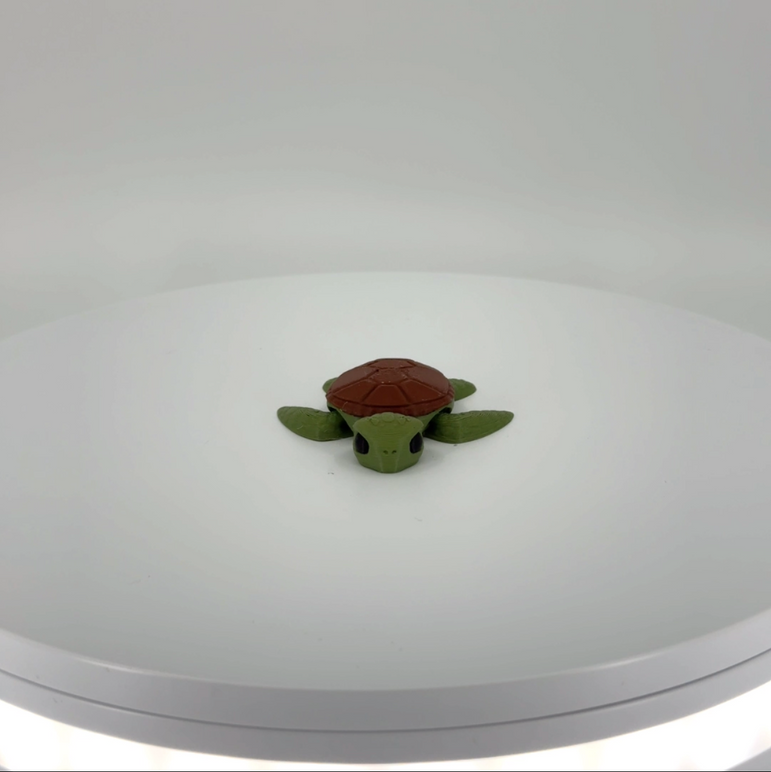 Sammy the Sea Turtle mini Filament Foundry