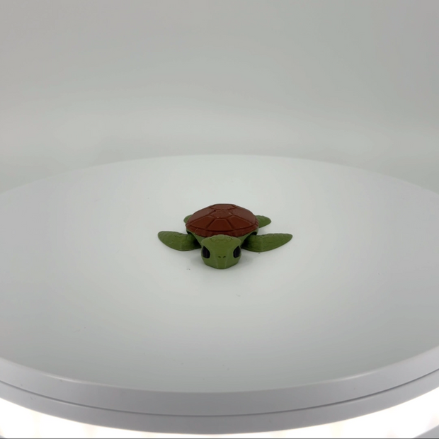 Sammy the Sea Turtle mini Filament Foundry