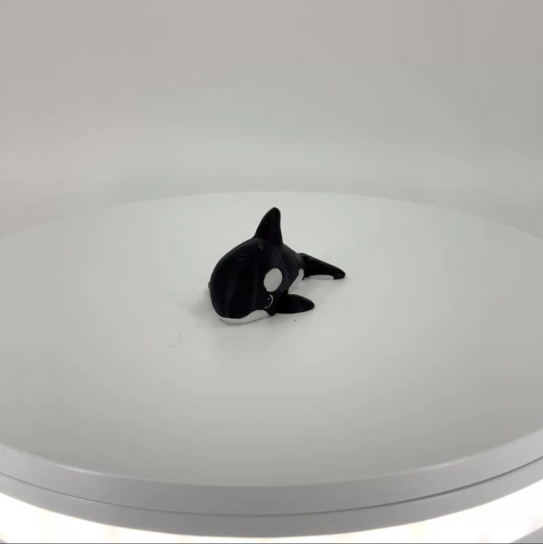 Ollie the Orca mini Filament Foundry