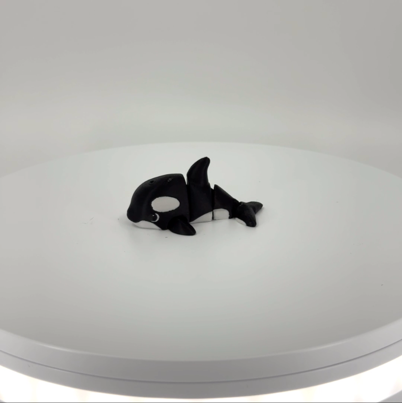 Ollie the Orca mini Filament Foundry