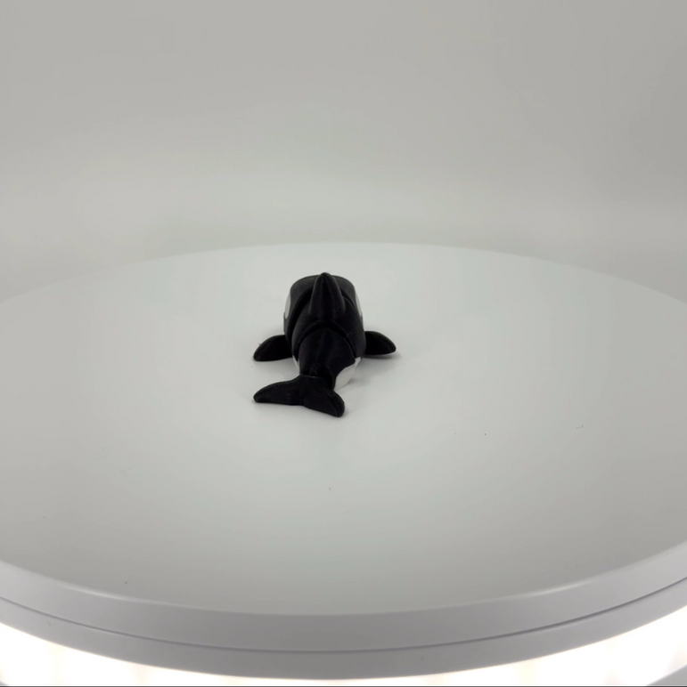 Ollie the Orca mini Filament Foundry