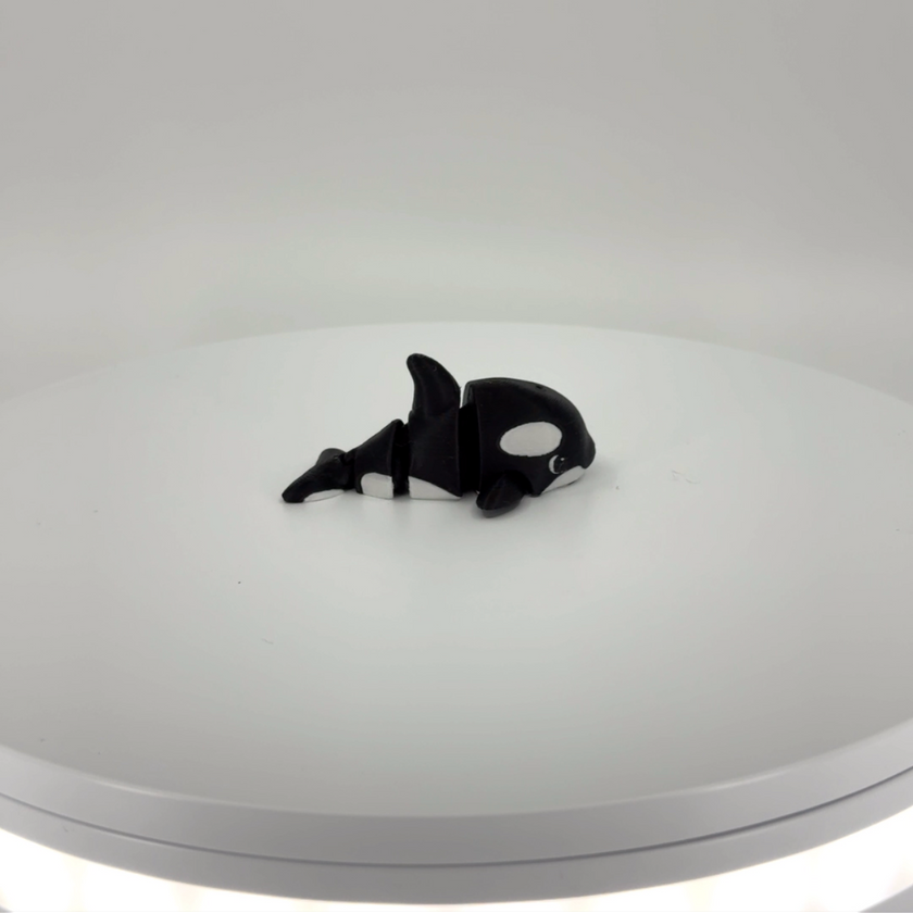 Ollie the Orca mini Filament Foundry