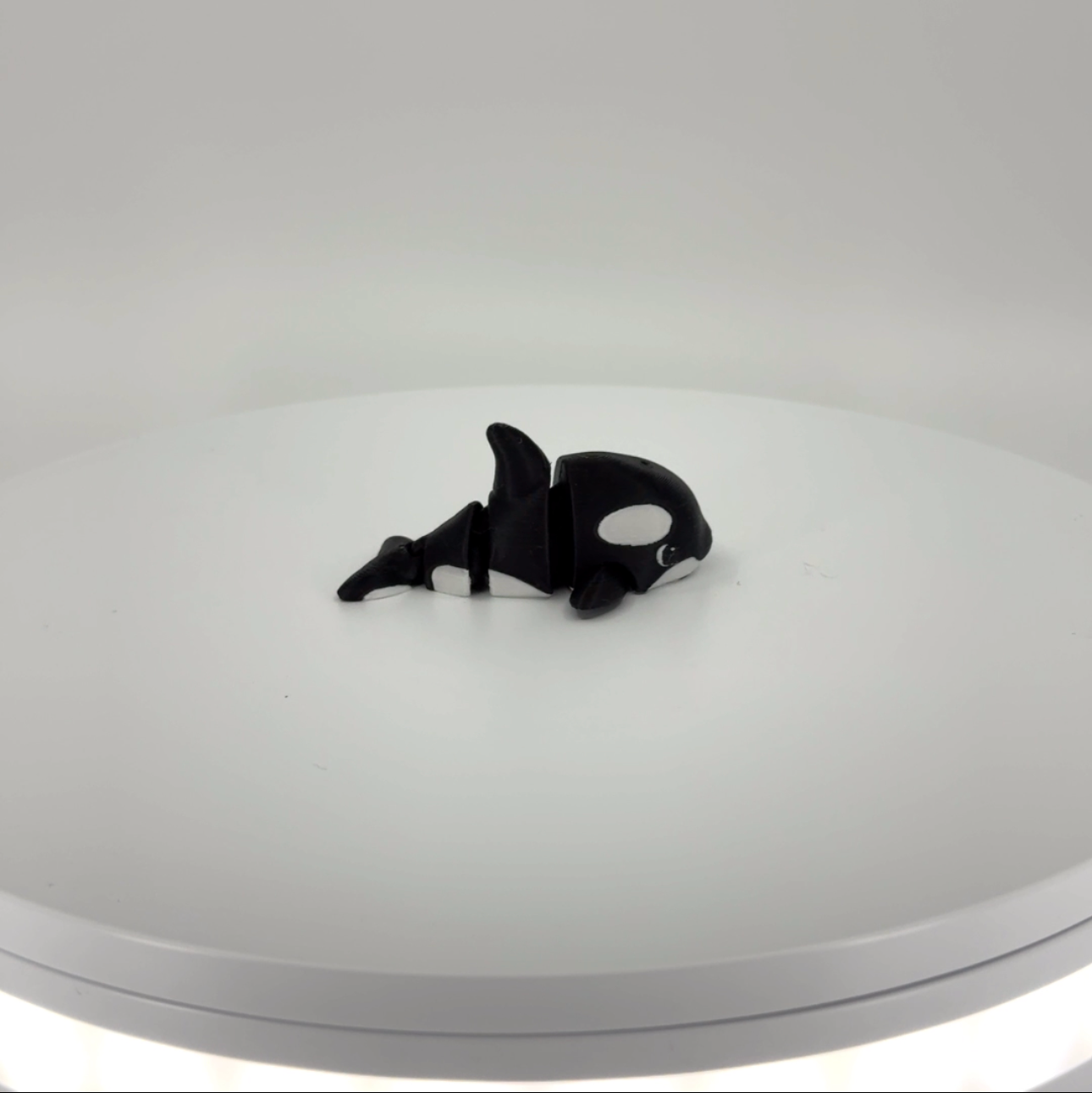 Ollie the Orca mini Filament Foundry