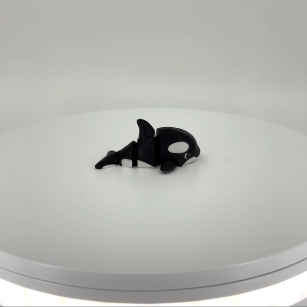 Ollie the Orca mini Filament Foundry