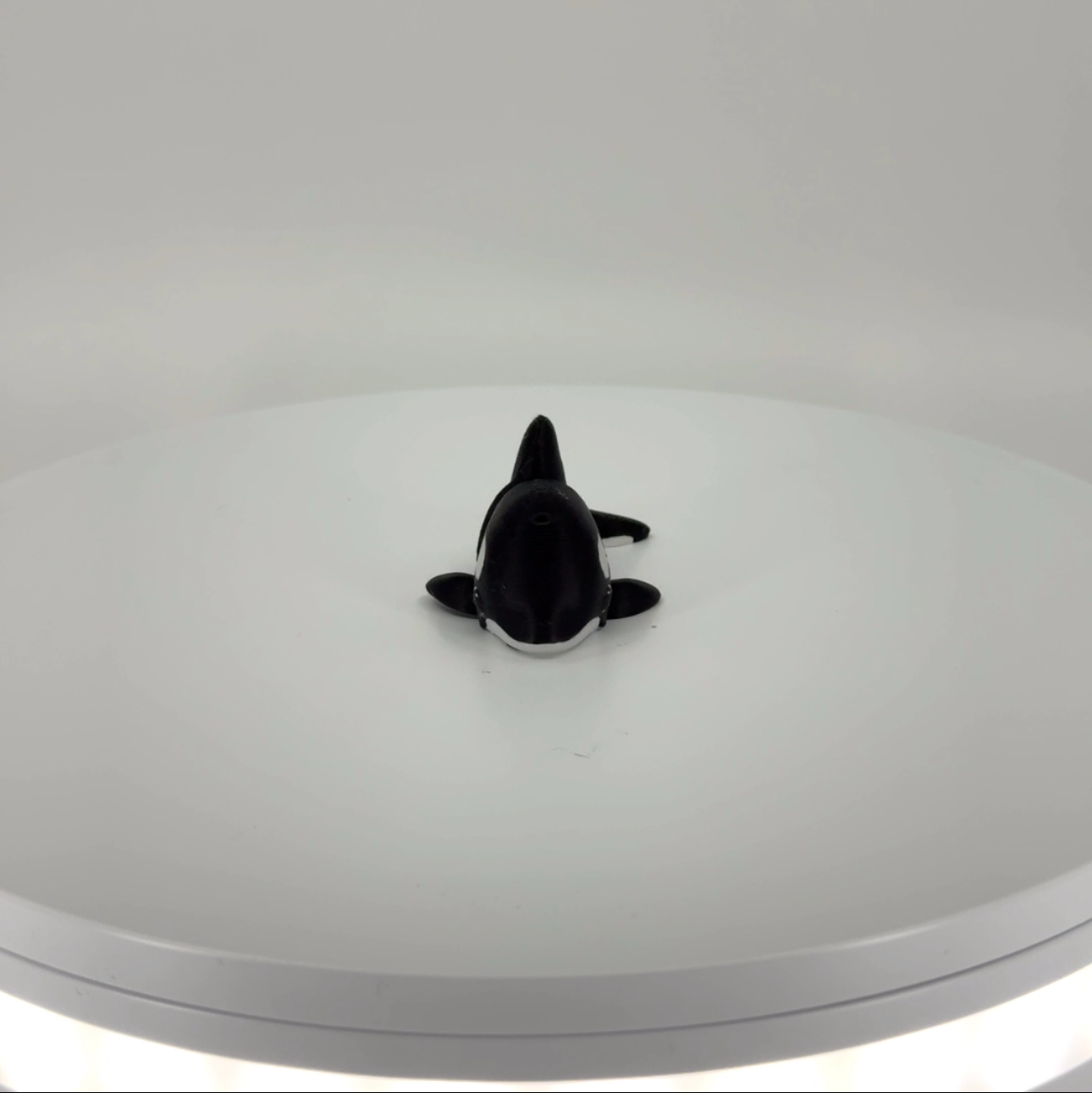 Ollie the Orca mini Filament Foundry