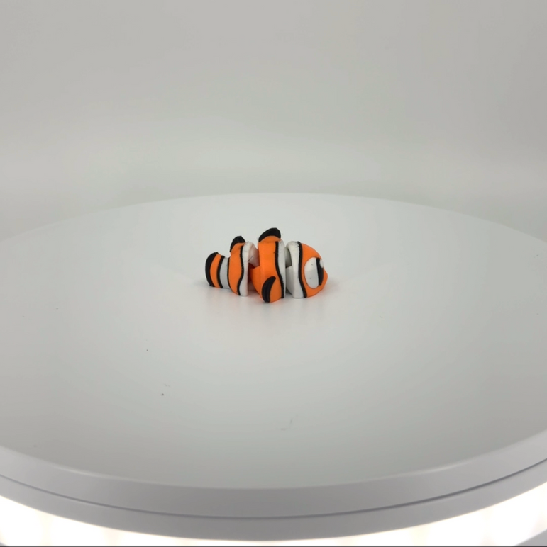 Clancy the Clown Fish mini Filament Foundry