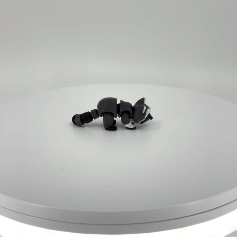 Riggly the Racoon mini Filament Foundry
