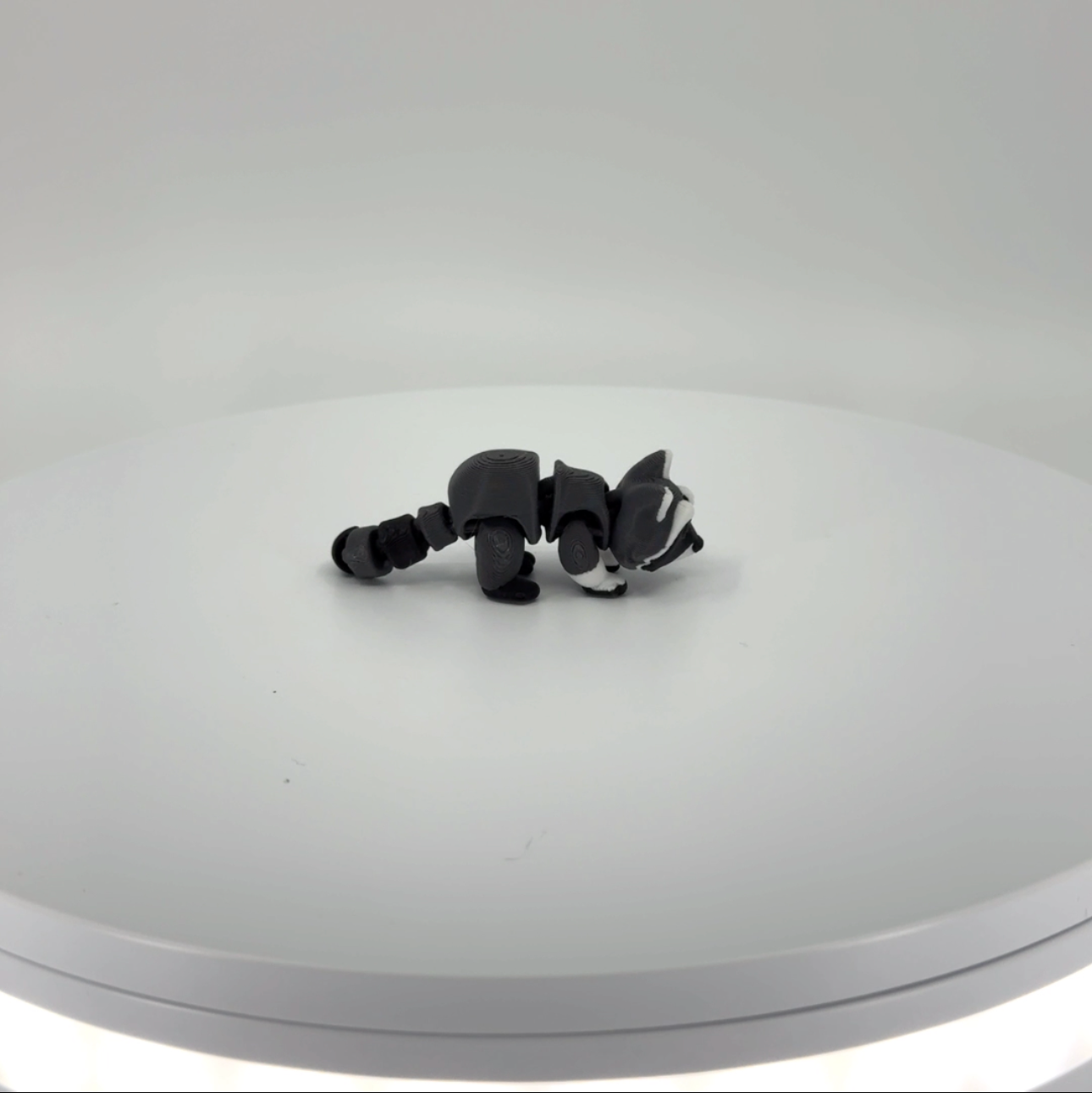 Riggly the Racoon mini Filament Foundry