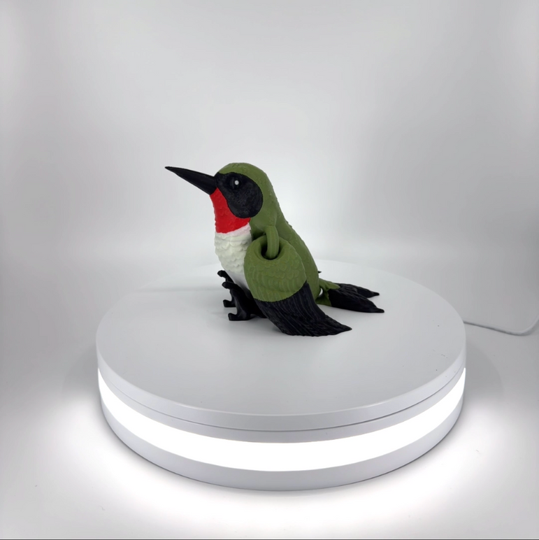 Henry the Hummingbird Filament Foundry