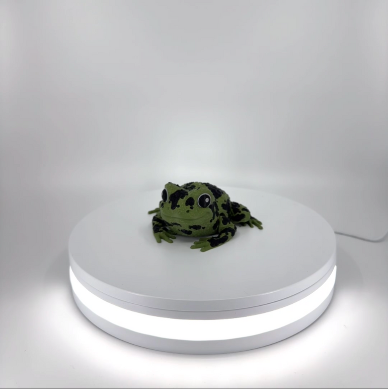Spot the Spotted Frog Filament Foundry
