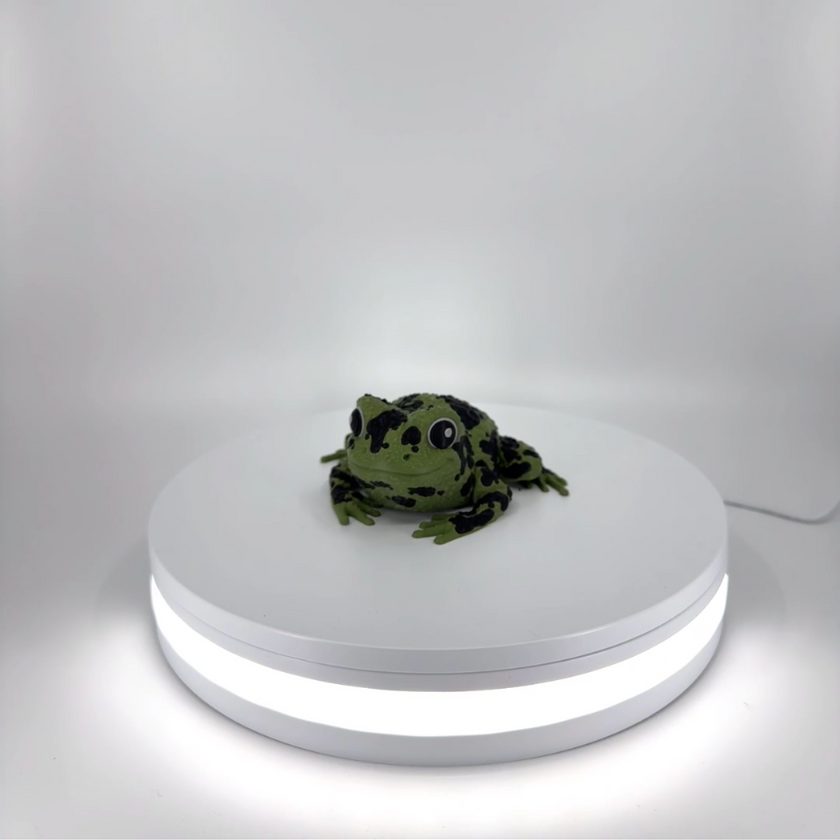 Spot the Spotted Frog Filament Foundry