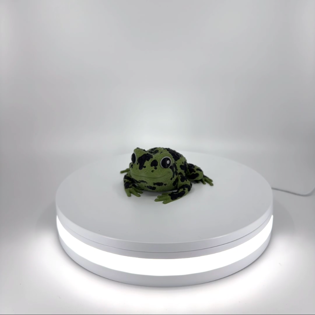 Spot the Spotted Frog Filament Foundry