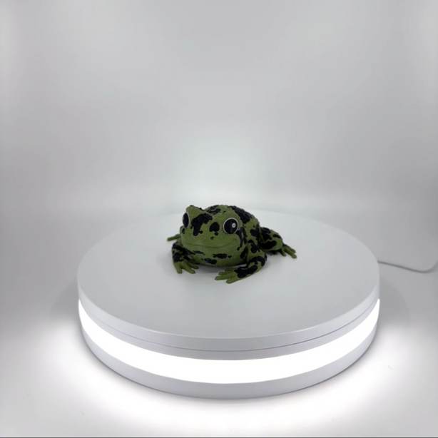 Spot the Spotted Frog Filament Foundry