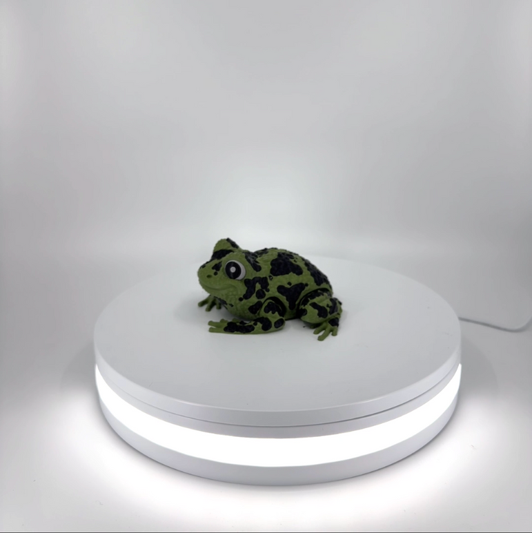 Spot the Spotted Frog Filament Foundry