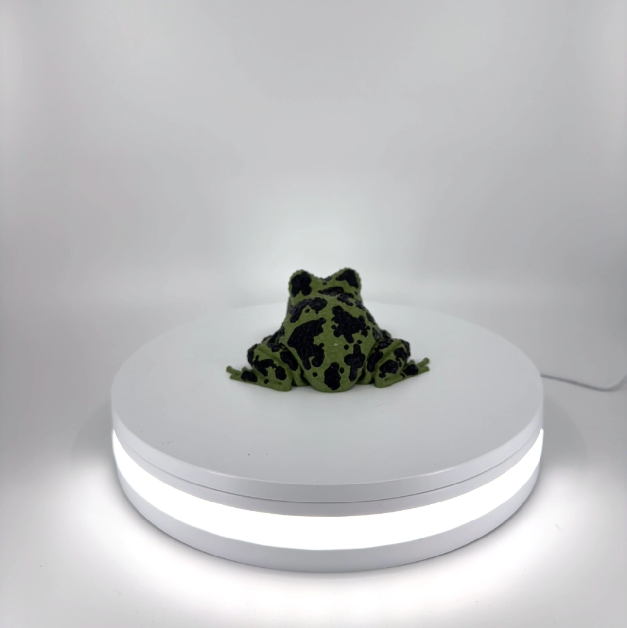 Spot the Spotted Frog Filament Foundry