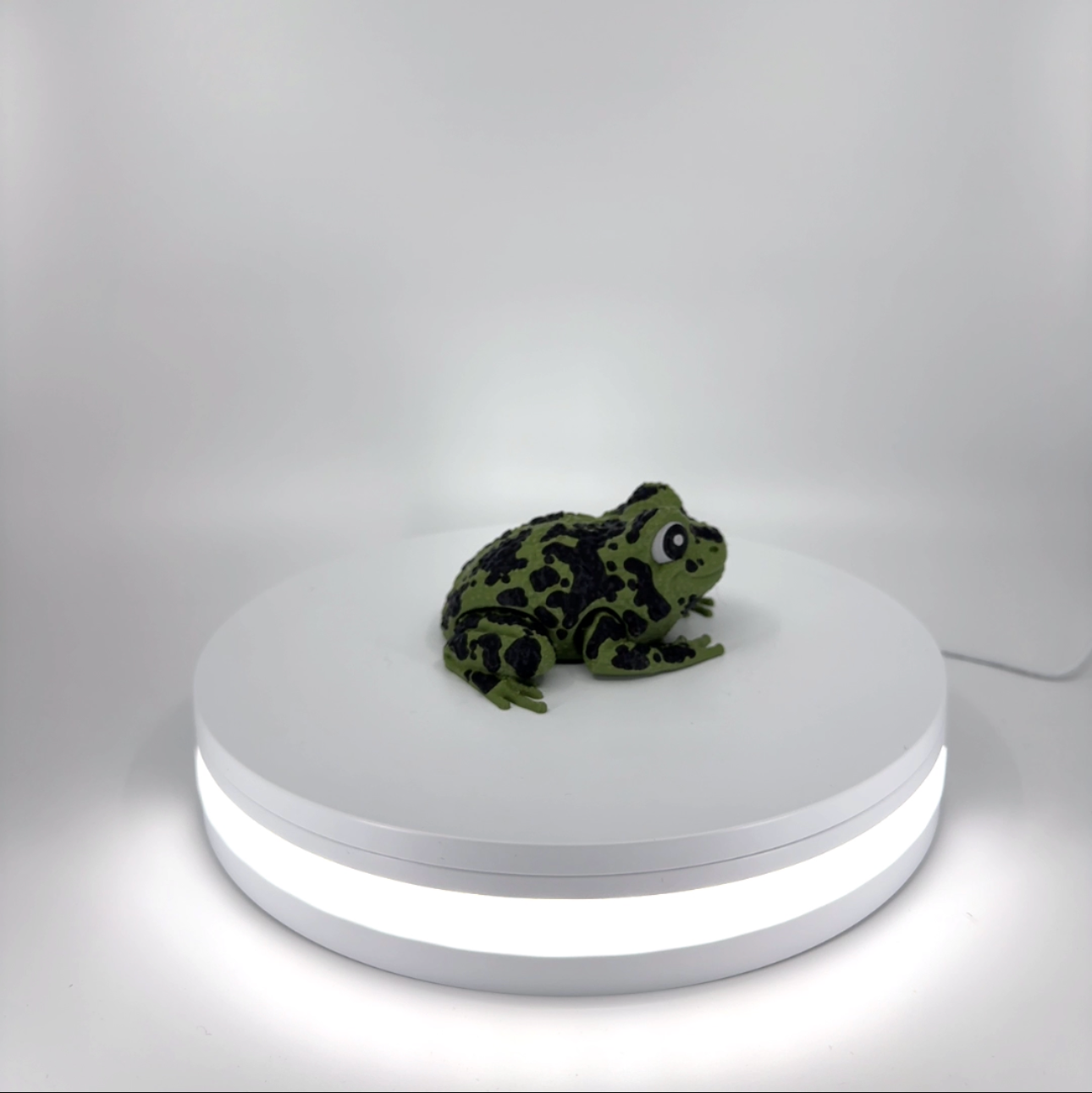 Spot the Spotted Frog Filament Foundry