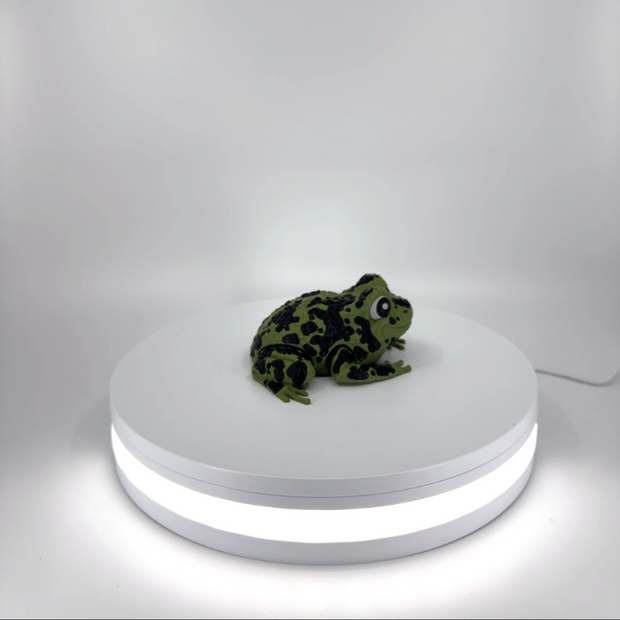 Spot the Spotted Frog Filament Foundry