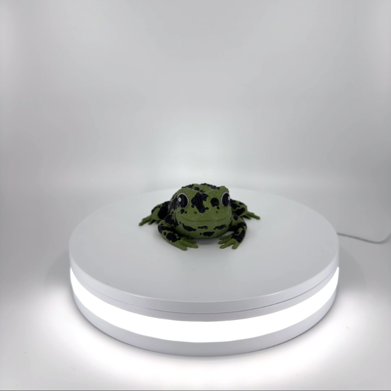 Spot the Spotted Frog Filament Foundry