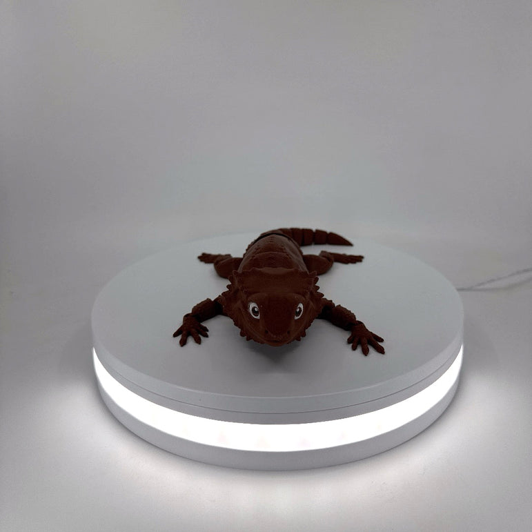 Bill the Bearded Dragon Filament Foundry