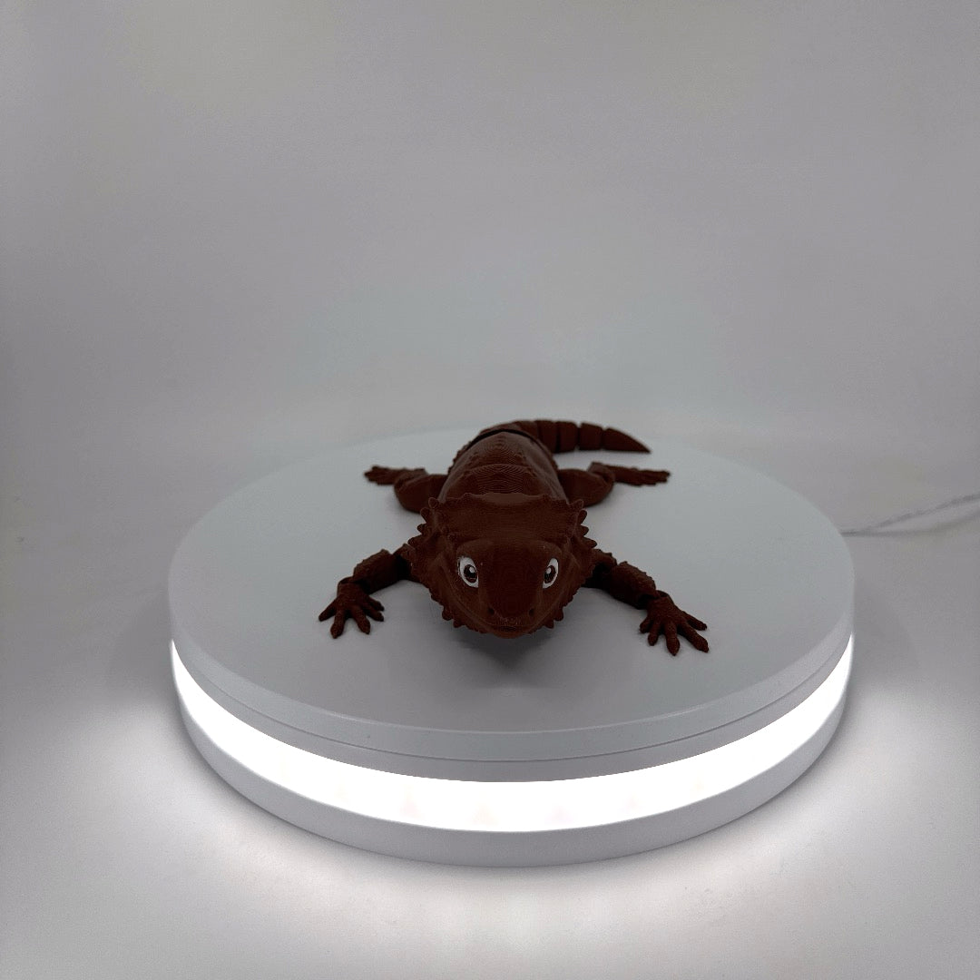 Bill the Bearded Dragon Filament Foundry