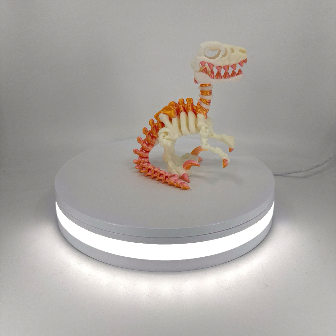 Skeleton Raptor Filament Foundry