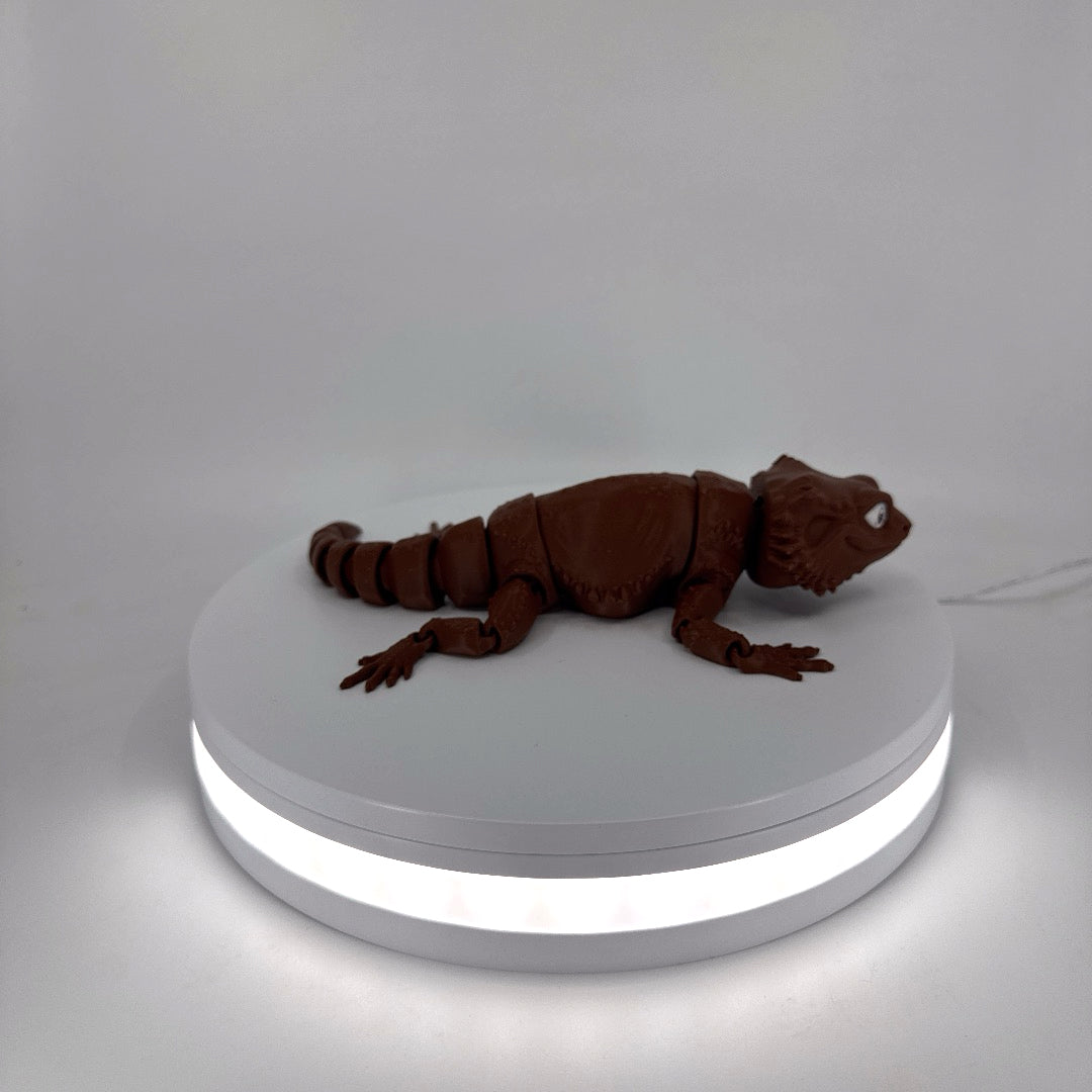 Bill the Bearded Dragon Filament Foundry
