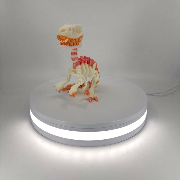 Skeleton Raptor Filament Foundry