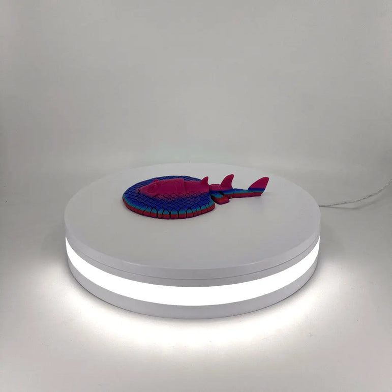 Sally the Sting Ray Filament Foundry