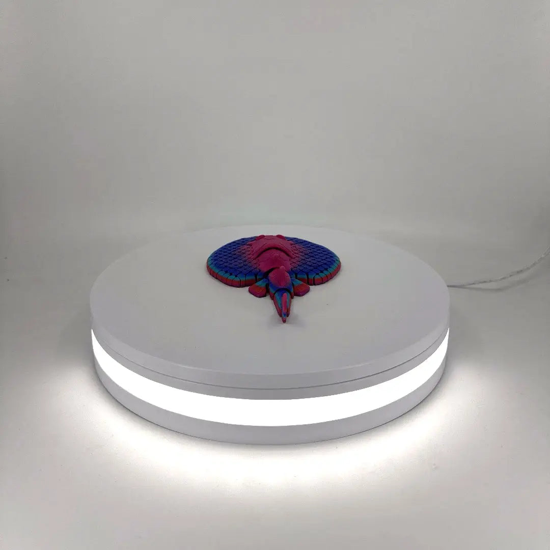 Sally the Sting Ray Filament Foundry