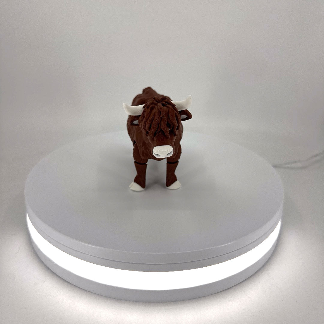 Hector the Highland Cow Filament Foundry