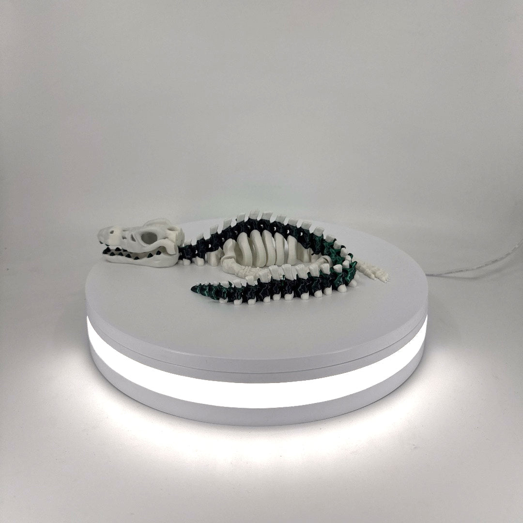 Skeleton Mosasaur Filament Foundry