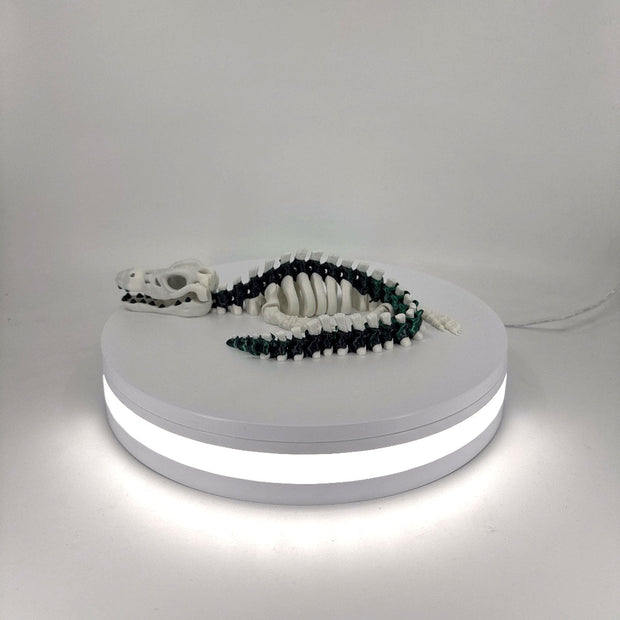 Skeleton Mosasaur Filament Foundry