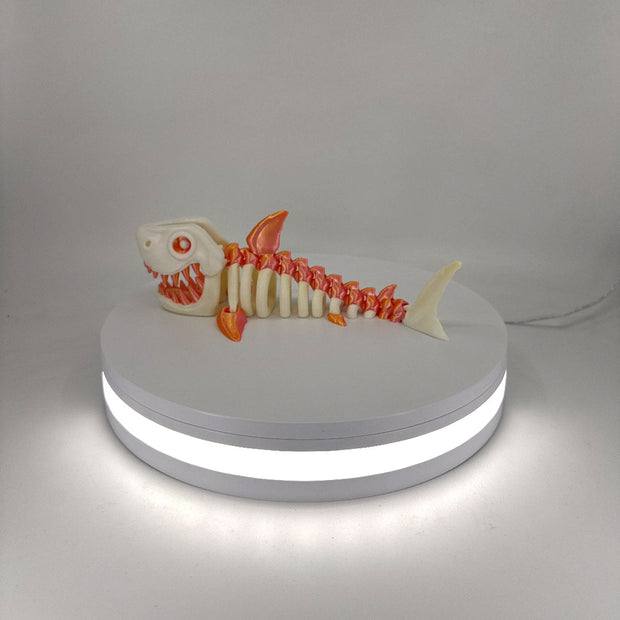 Skeleton Shark Filament Foundry