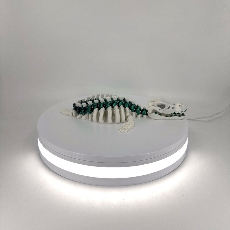 Skeleton Mosasaur Filament Foundry
