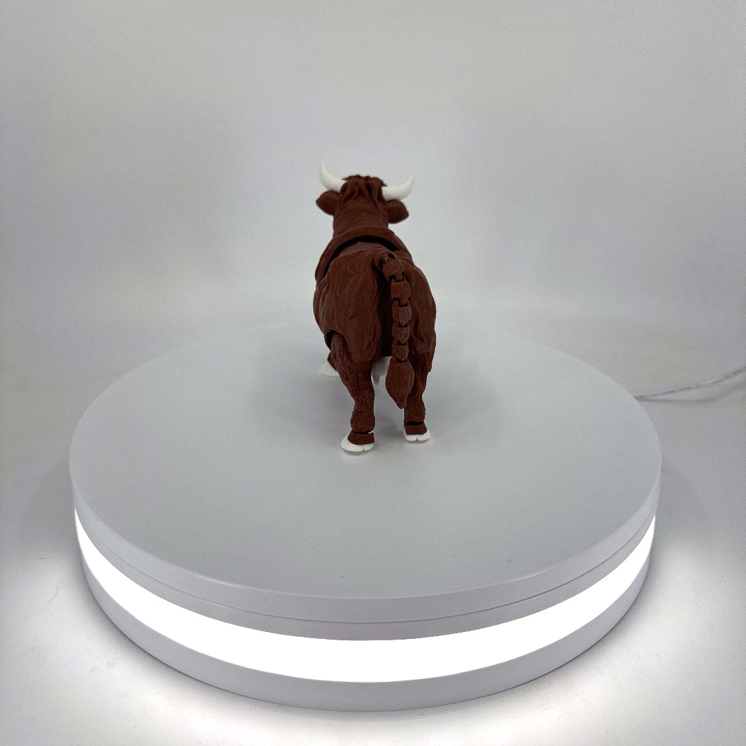 Hector the Highland Cow Filament Foundry