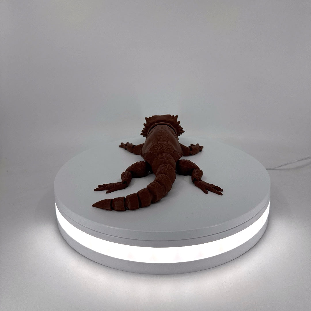 Bill the Bearded Dragon Filament Foundry