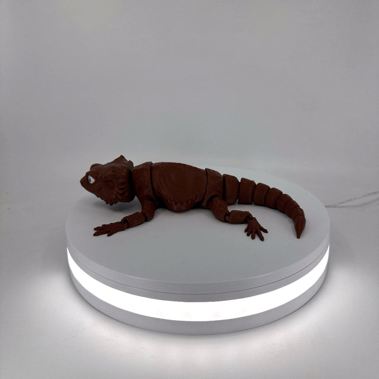 Bill the Bearded Dragon Filament Foundry
